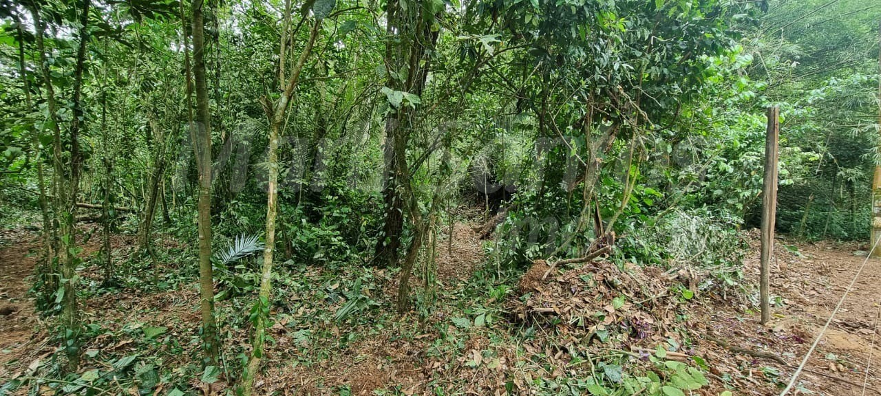 Terreno à venda no perequê em ilhabela-sp