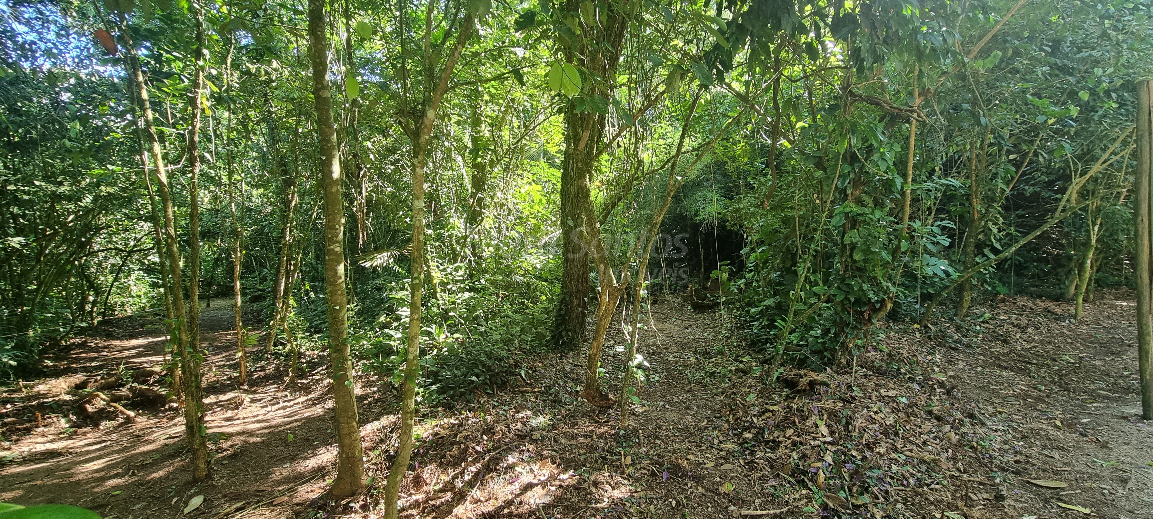 Terreno à venda no perequê em ilhabela-sp