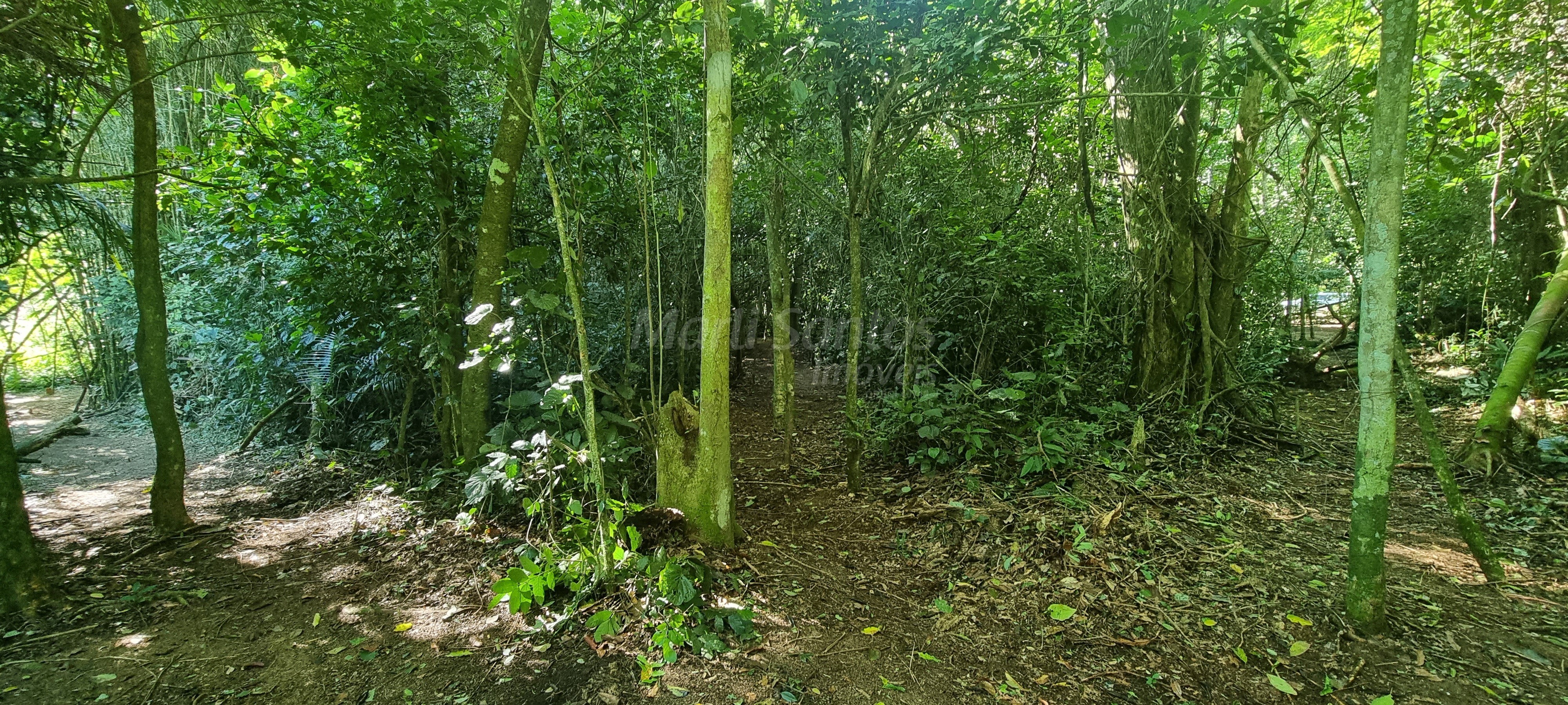 Terreno à venda no perequê em ilhabela-sp