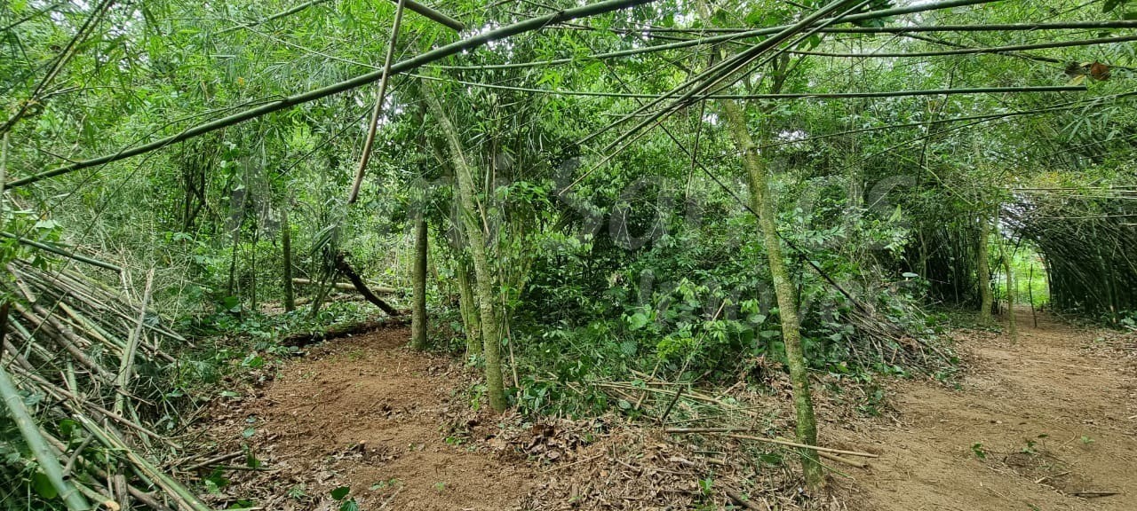 Terreno à venda no perequê em ilhabela-sp