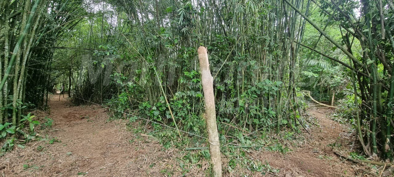 Terreno à venda no perequê em ilhabela-sp