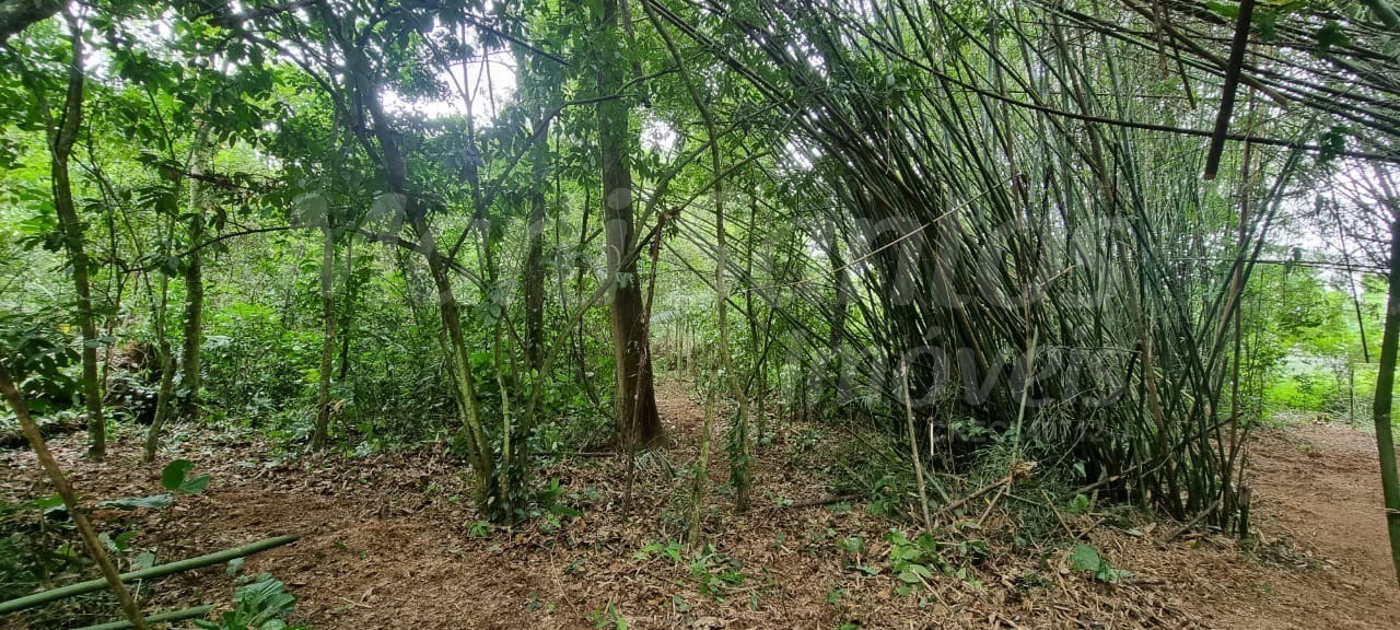 Terreno à venda no perequê em ilhabela-sp