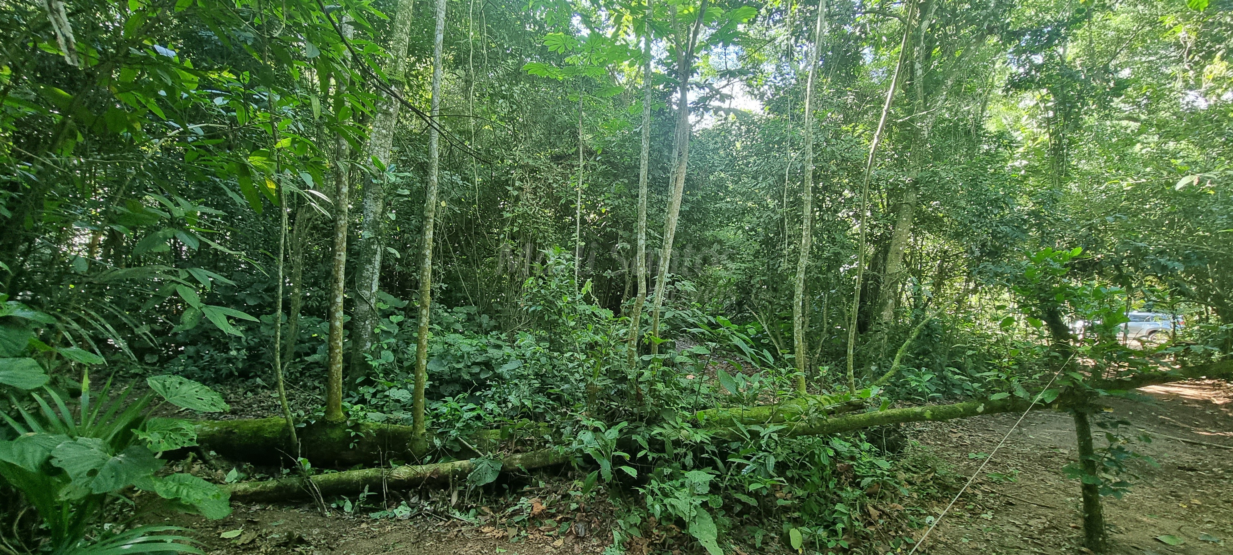 Terreno à venda no perequê em ilhabela-sp