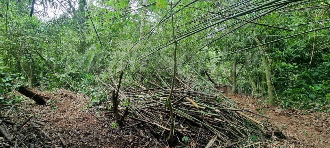 Terreno à venda no perequê em ilhabela-sp