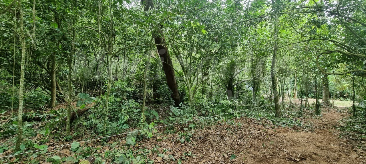 Terreno à venda no perequê em ilhabela-sp