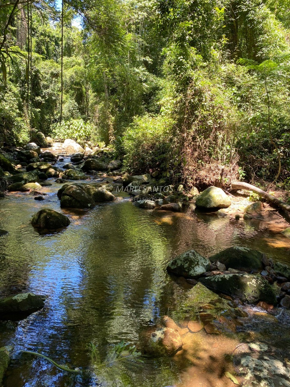 Casa aconchegante à venda, local tranquilo dentro da mata, com cachoeira em Ilhabela-SP.