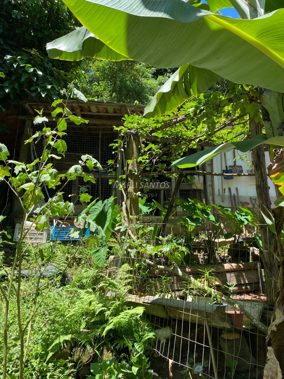 Casa aconchegante à venda, local tranquilo dentro da mata, com cachoeira em Ilhabela-SP.