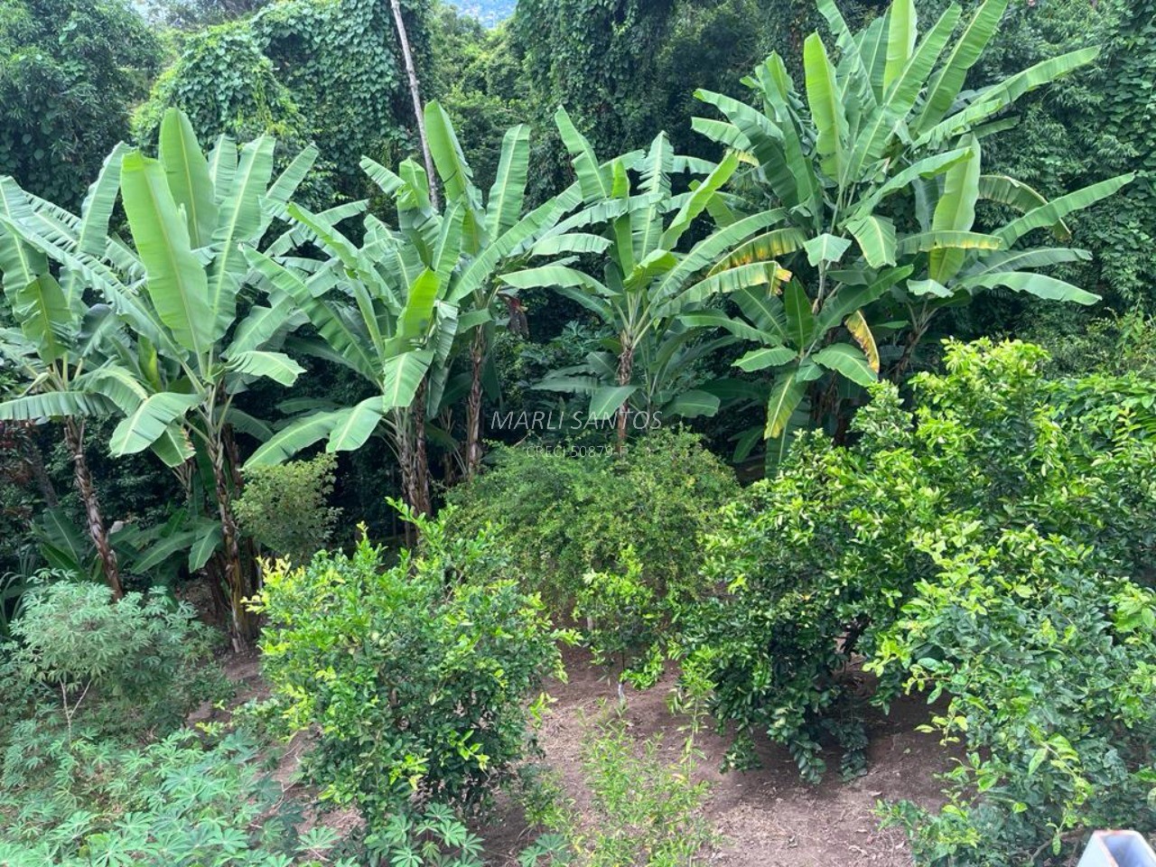 Casa residencial em ilhabela - sp, piuva
