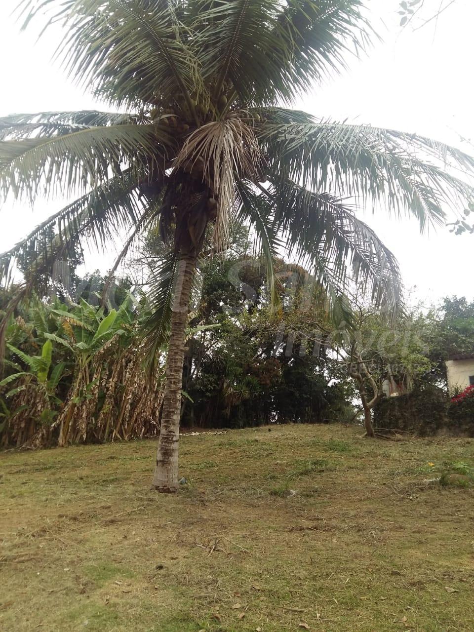 Vende-se terreno na barra velha em ilhabela-sp