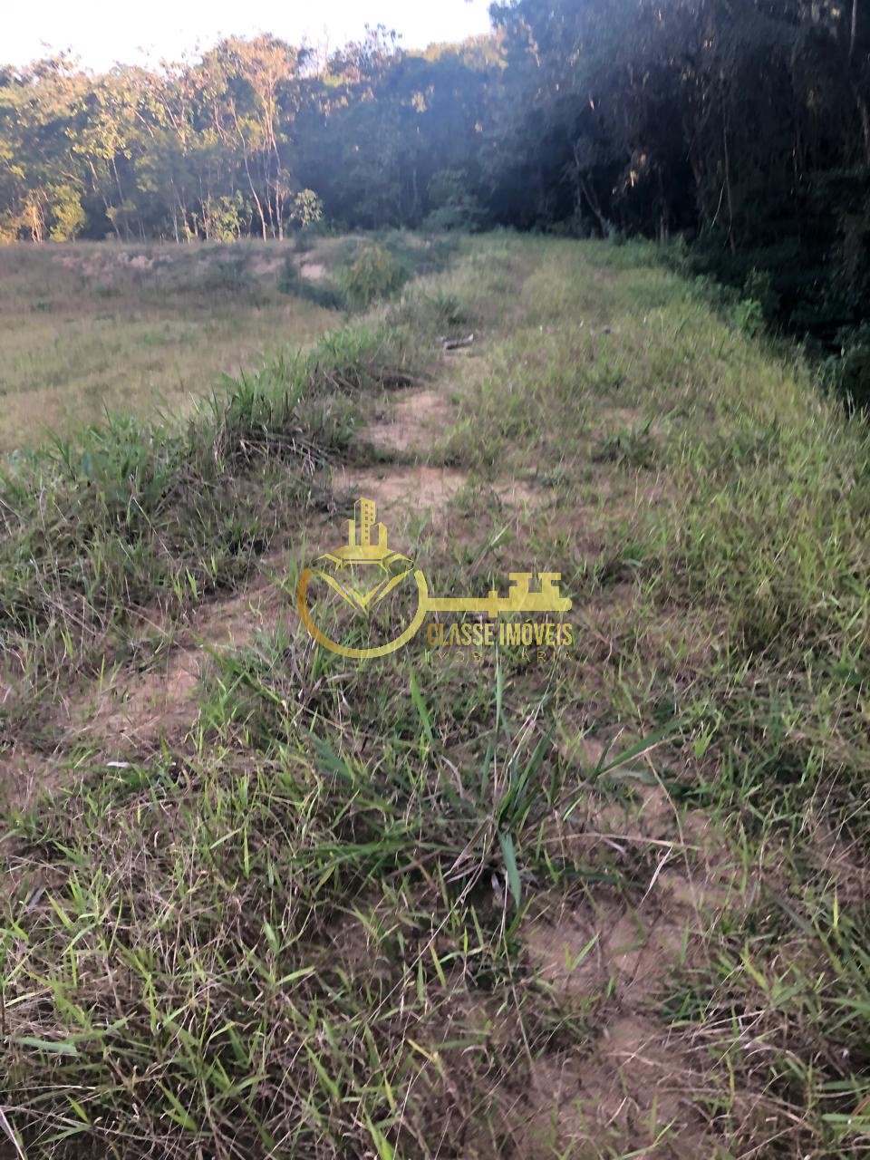Oportunidade única: sitio à venda em luiz alves-sc, no bairr