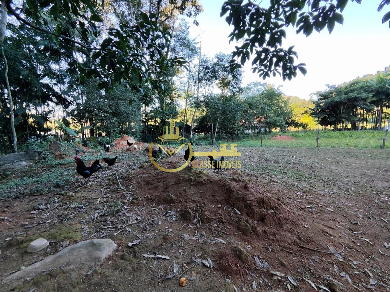 Chácara à venda em Luiz Alves-SC, bairro Garuva: 2 quartos, 1 sala, 1 banheiro, 300,00 m² de área.