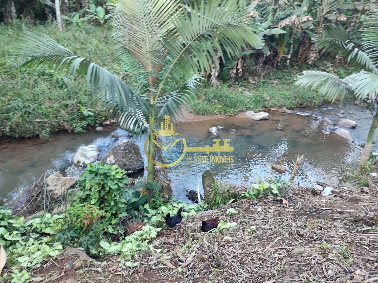 Chácara à venda em luiz alves-sc, bairro garuva: 2 quartos,  - foto 10