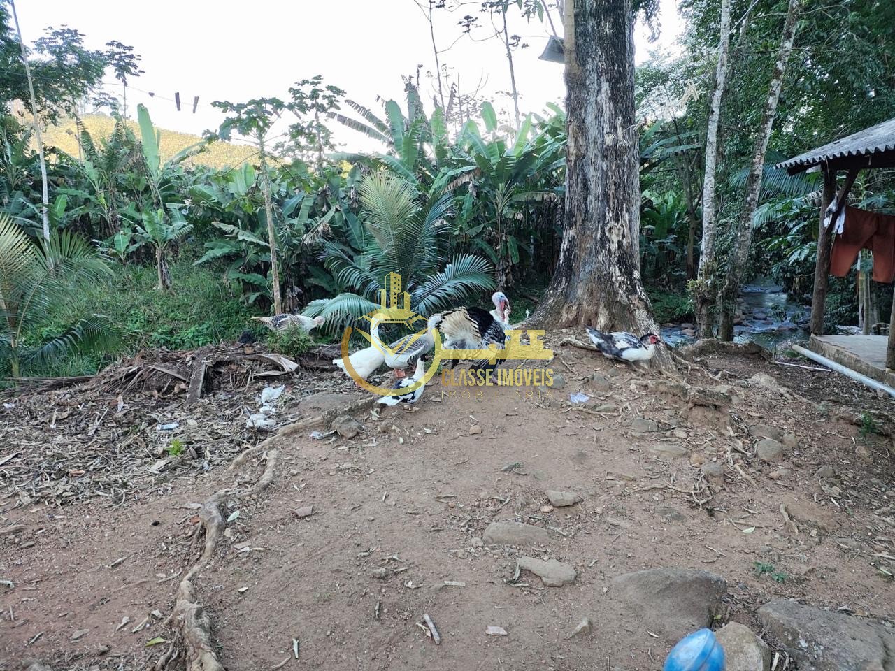 Chácara à venda em luiz alves-sc, bairro garuva: 2 quartos,  - foto 12