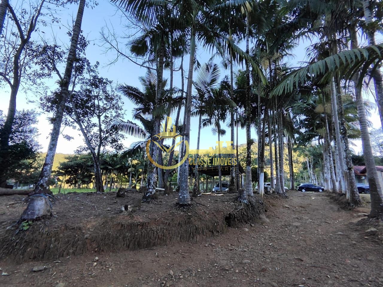 Chácara à venda em luiz alves-sc, bairro garuva: 2 quartos,  - foto 13