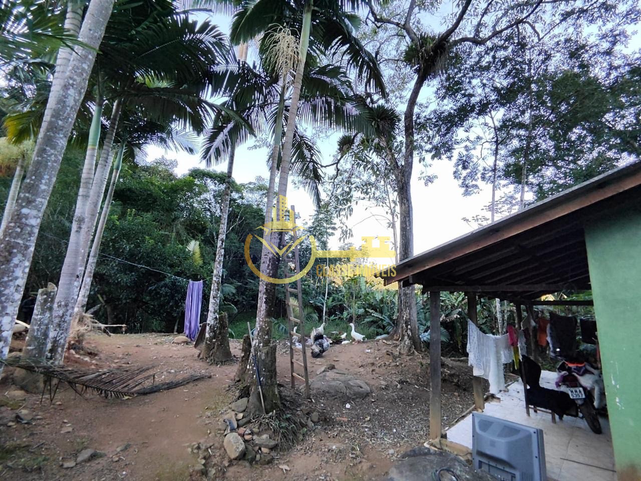 Chácara à venda em Luiz Alves-SC, bairro Garuva: 2 quartos, 1 sala, 1 banheiro, 300,00 m² de área.