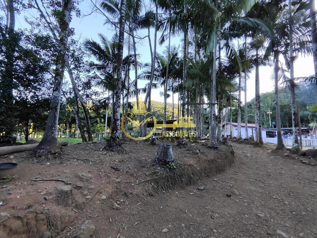 Chácara à venda em Luiz Alves-SC, bairro Garuva: 2 quartos, 1 sala, 1 banheiro, 300,00 m² de área.