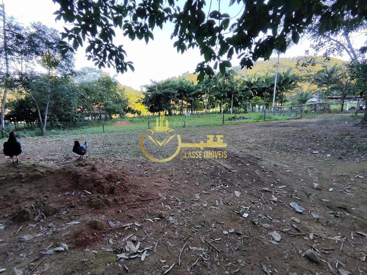 Chácara à venda em Luiz Alves-SC, bairro Garuva: 2 quartos, 1 sala, 1 banheiro, 300,00 m² de área.