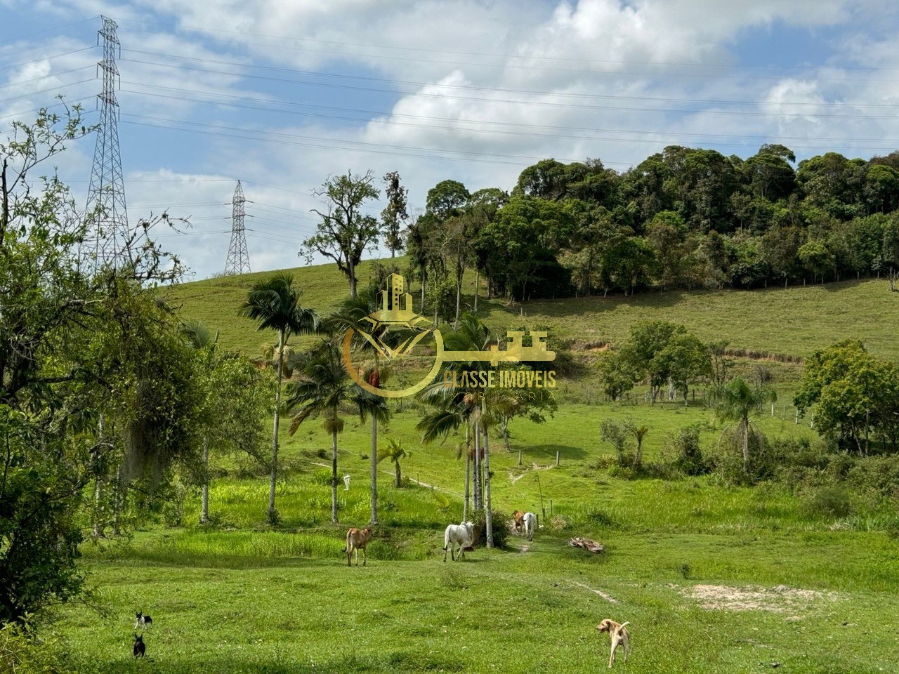 CHACARA RURAL em ILHOTA - SC, Minas Ilhota