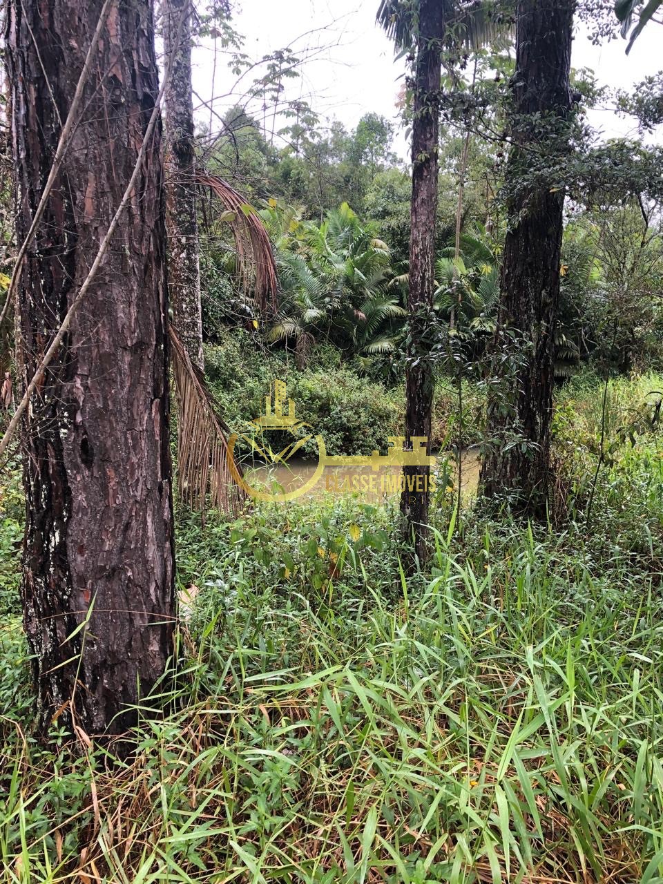 Terreno à venda em escalvados, navegantes-sc 15.000m² de áre