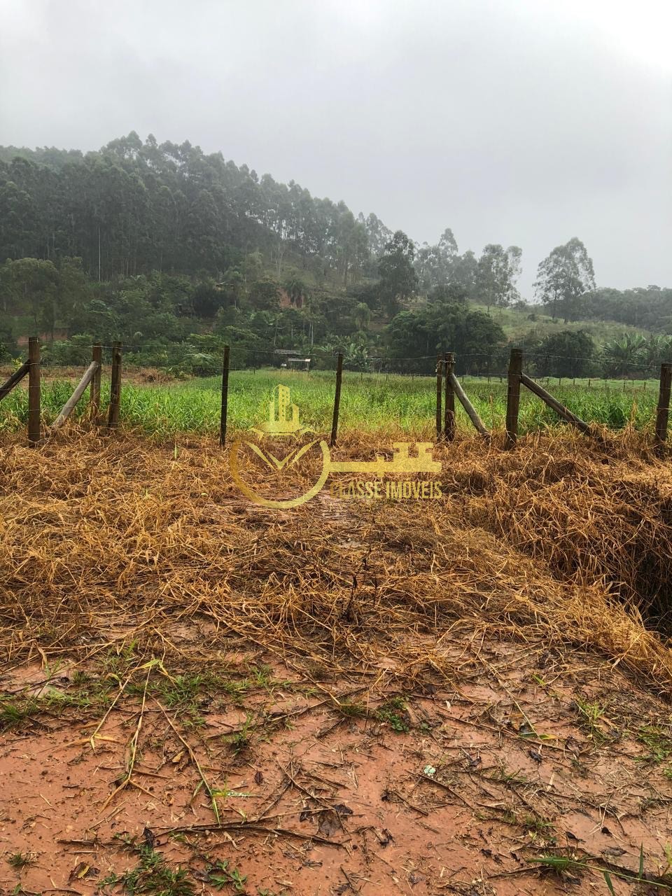 Excelente oportunidade: sítio à venda em luiz alves-sc, com 