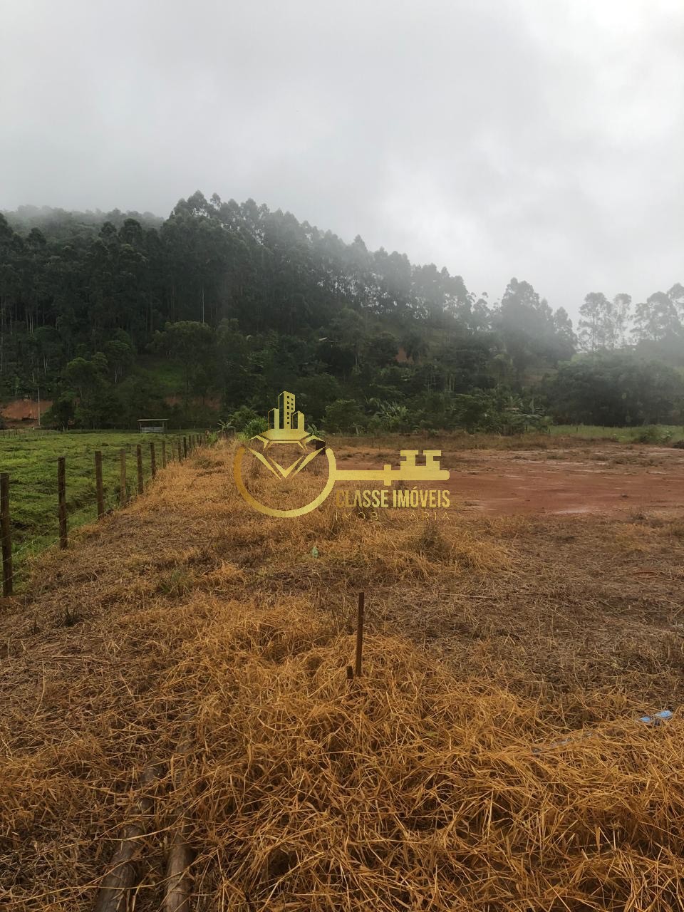 Excelente oportunidade: sítio à venda em luiz alves-sc, com 