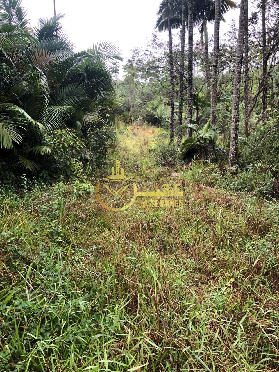 Terreno à venda em escalvados, navegantes-sc 15.000m² de áre