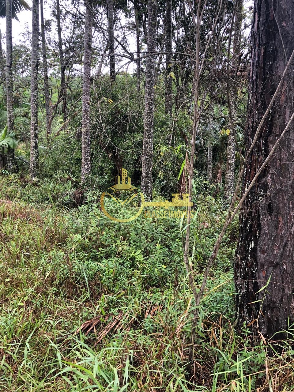Terreno à venda em escalvados, navegantes-sc 15.000m² de áre