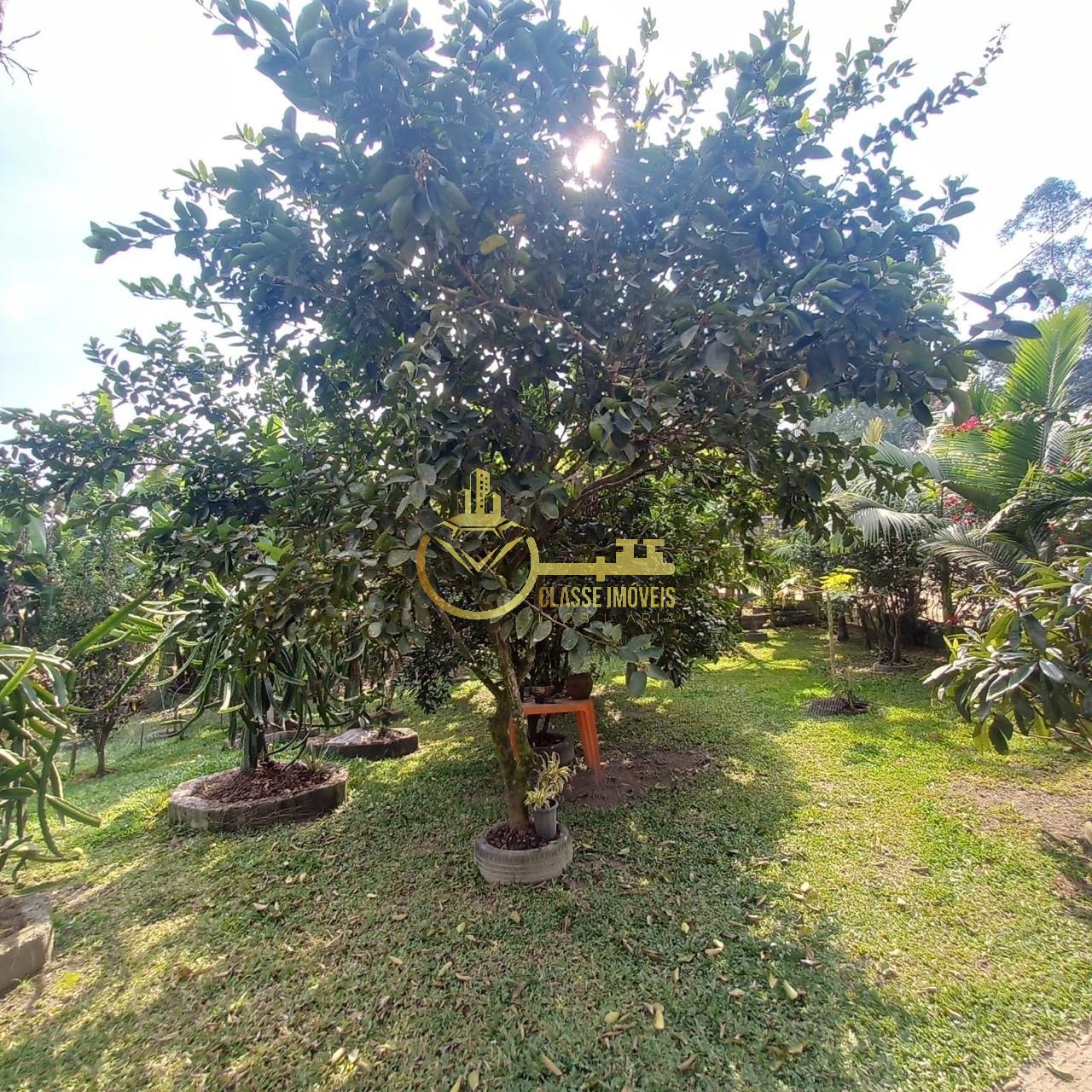 Chácara à venda em são joão do itaperiú-sc, bairro santa cru