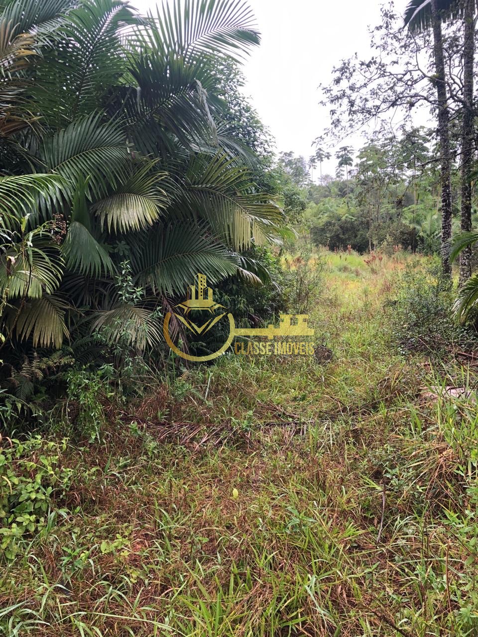 Terreno à venda em escalvados, navegantes-sc 15.000m² de áre