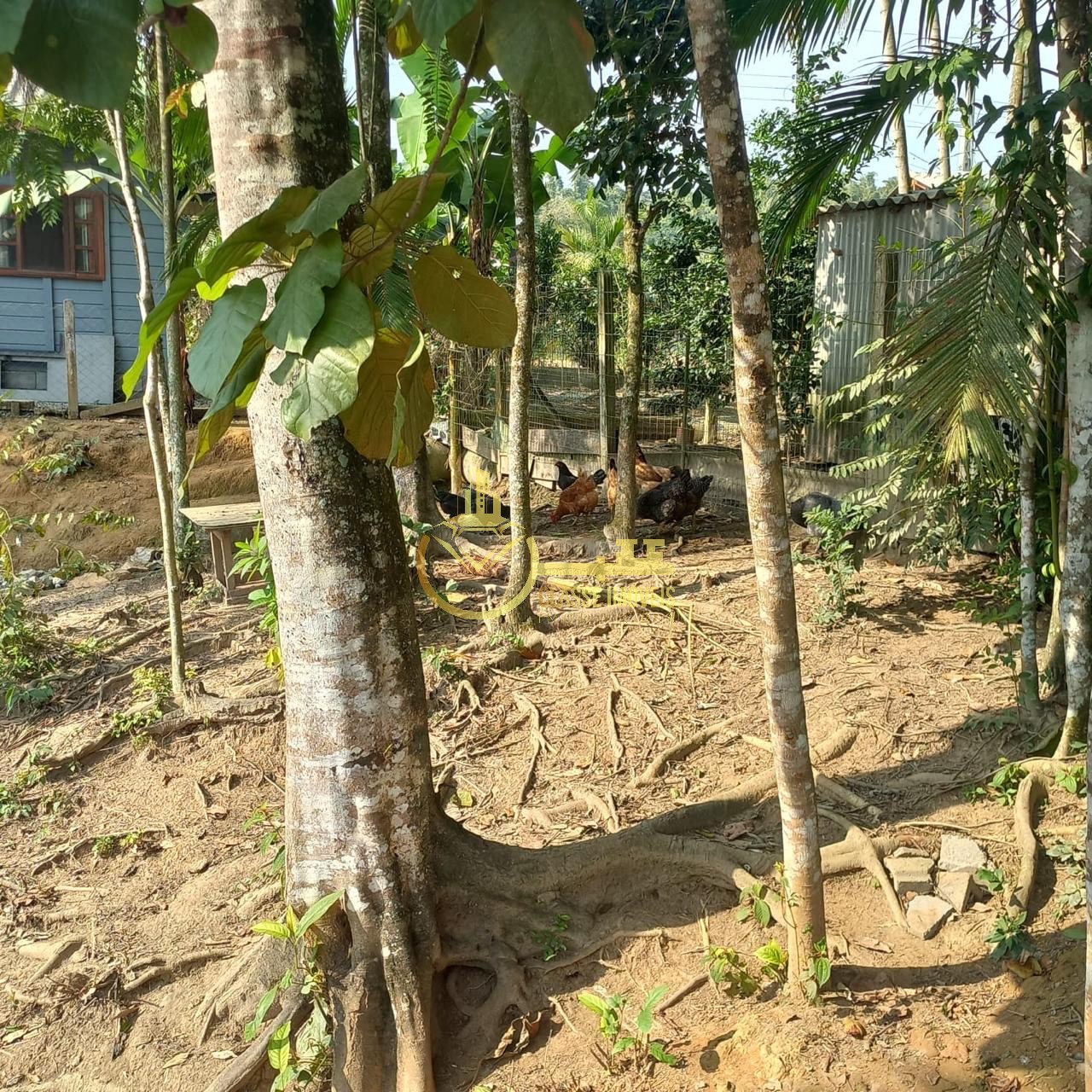 Chácara à venda em são joão do itaperiú-sc, bairro santa cru