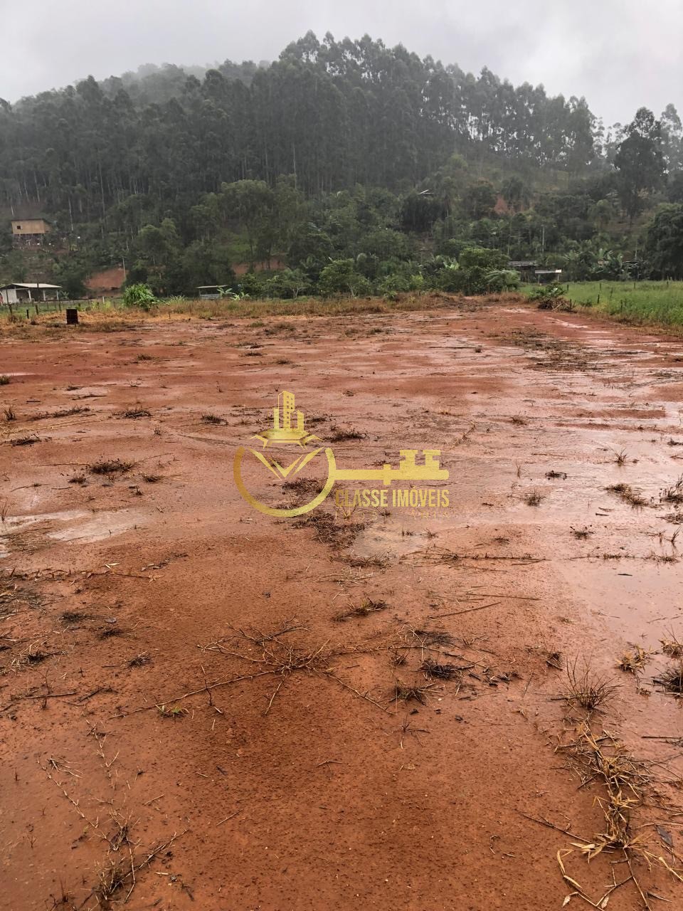 Excelente oportunidade: sítio à venda em luiz alves-sc, com 