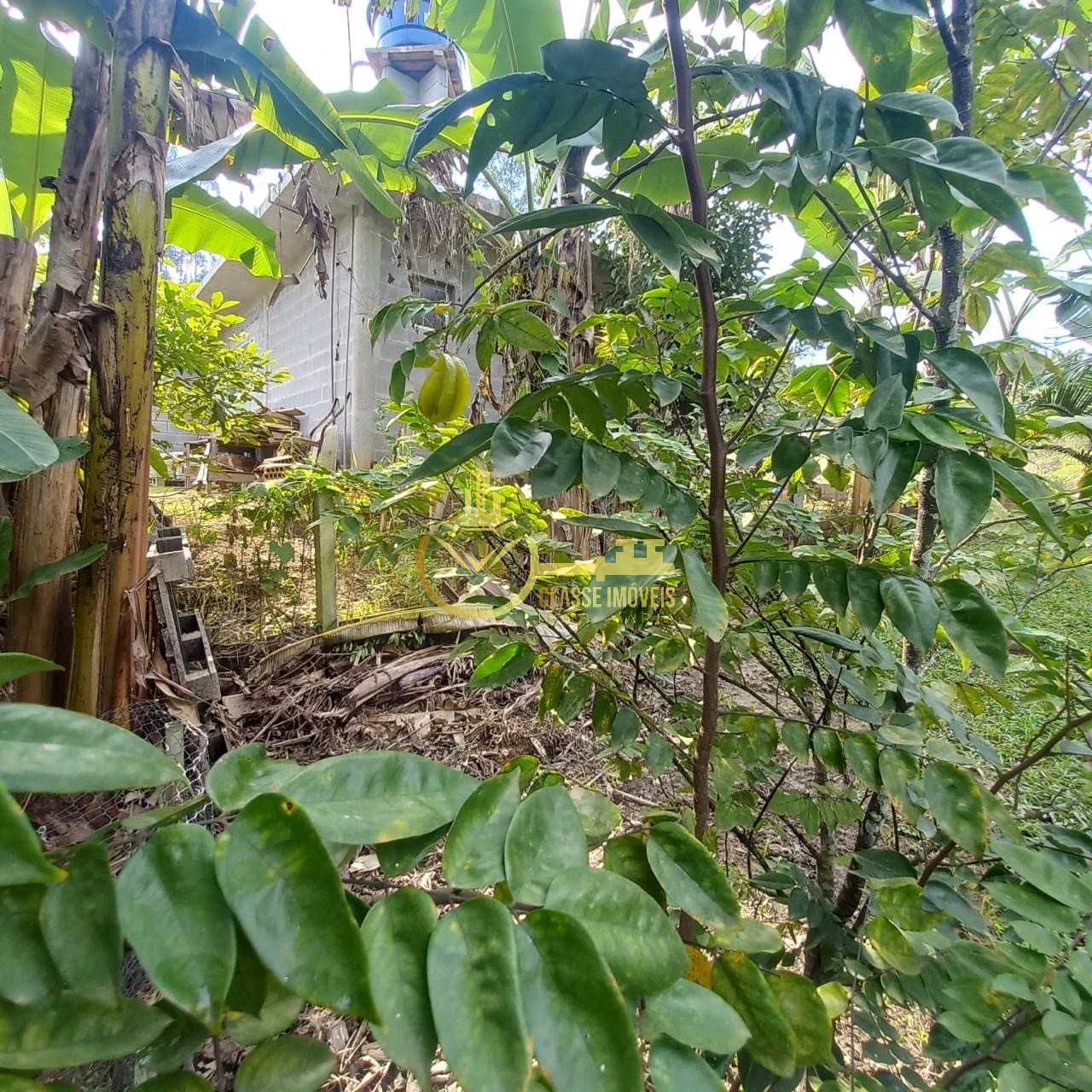 Chácara à venda em são joão do itaperiú-sc, bairro santa cru