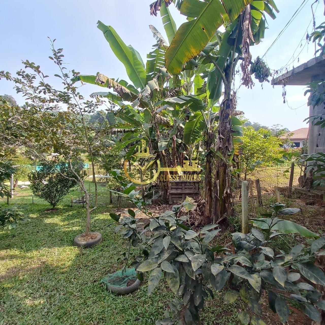 Chácara à venda em são joão do itaperiú-sc, bairro santa cru