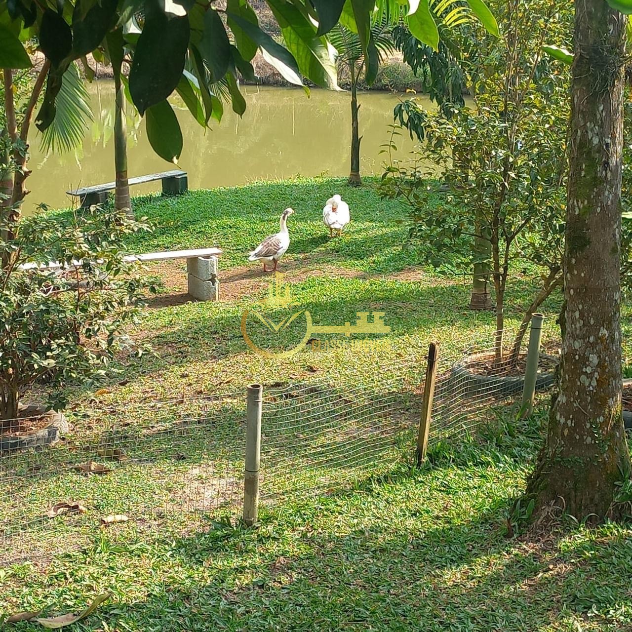 Chácara à venda em são joão do itaperiú-sc, bairro santa cru