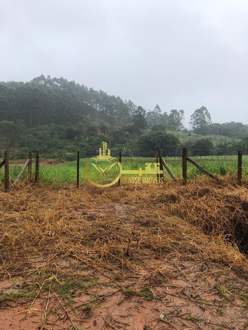 Excelente oportunidade: sítio à venda em luiz alves-sc, com 