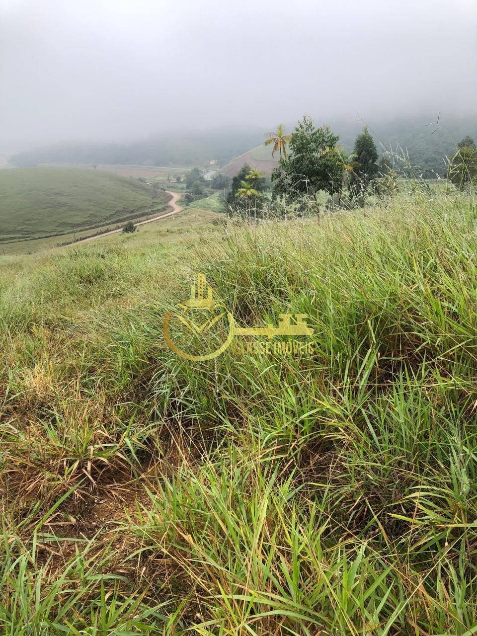 Fazenda à venda em Ilhota-SC, Bairro Baú, com 2 quartos, 2 salas, 1 banheiro e 180.000m² de área. Venha conferir!