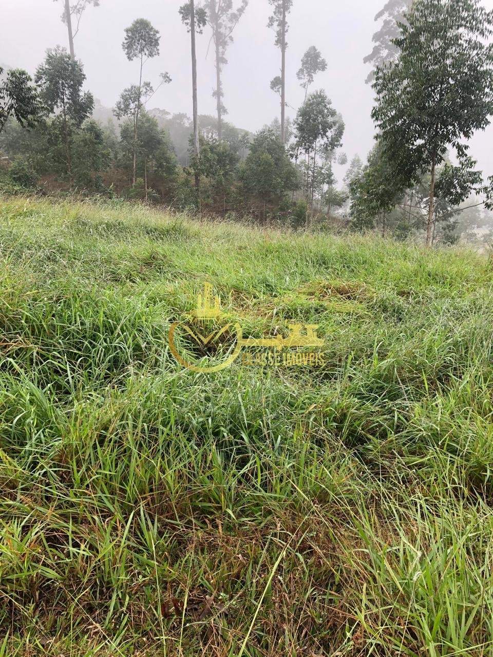 Fazenda à venda em Ilhota-SC, Bairro Baú, com 2 quartos, 2 salas, 1 banheiro e 180.000m² de área. Venha conferir!