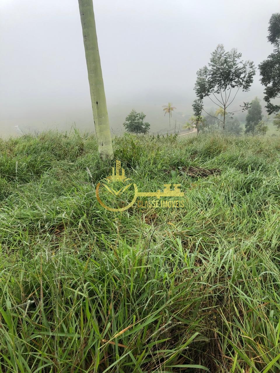 Fazenda à venda em Ilhota-SC, Bairro Baú, com 2 quartos, 2 salas, 1 banheiro e 180.000m² de área. Venha conferir!