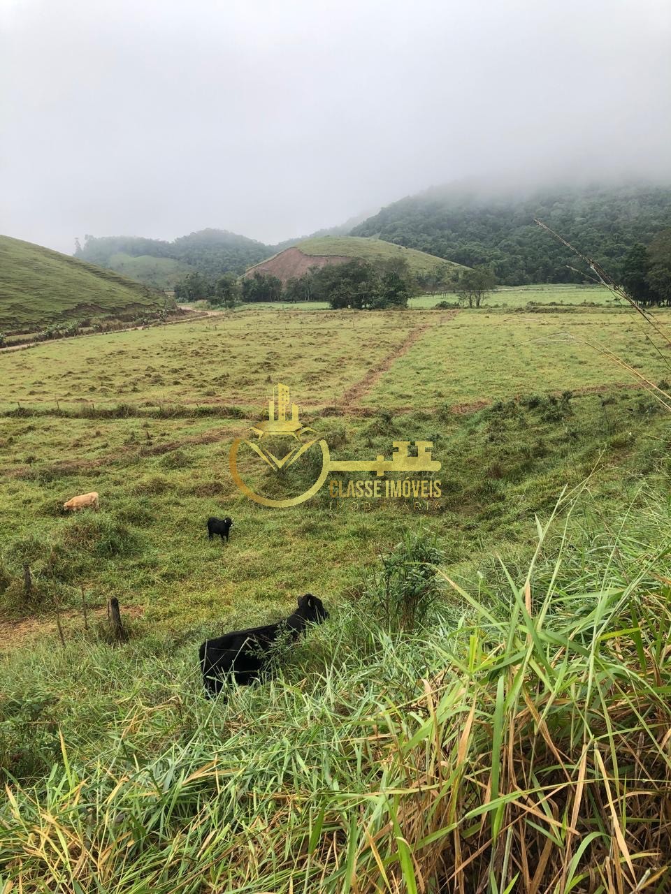 Fazenda à venda em Ilhota-SC, Bairro Baú, com 2 quartos, 2 salas, 1 banheiro e 180.000m² de área. Venha conferir!