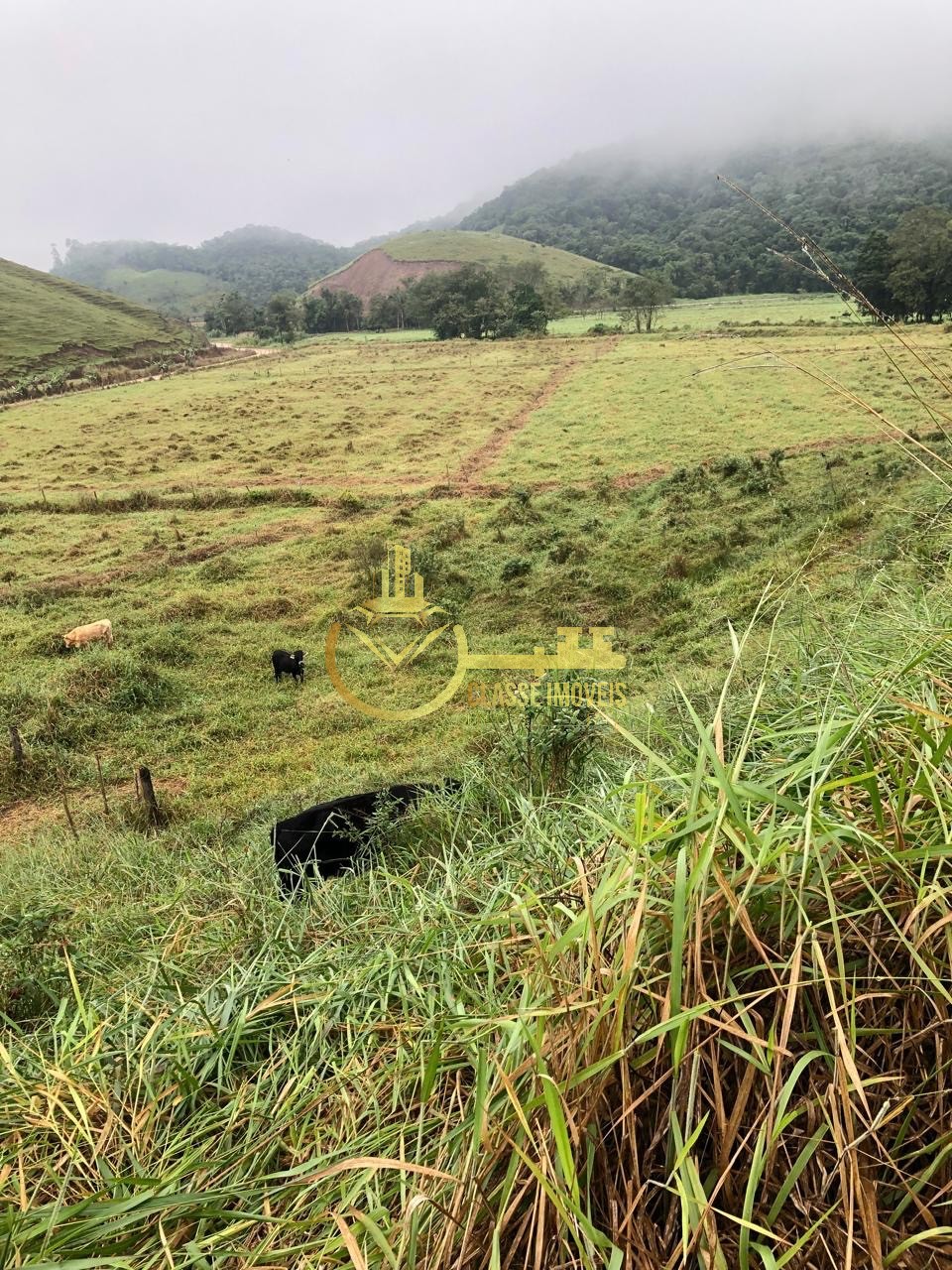 Fazenda à venda em Ilhota-SC, Bairro Baú, com 2 quartos, 2 salas, 1 banheiro e 180.000m² de área. Venha conferir!