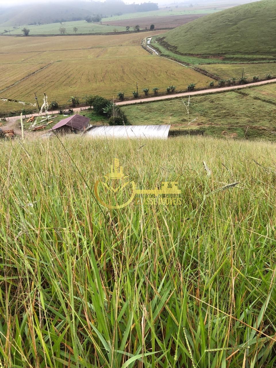 Fazenda à venda em Ilhota-SC, Bairro Baú, com 2 quartos, 2 salas, 1 banheiro e 180.000m² de área. Venha conferir!