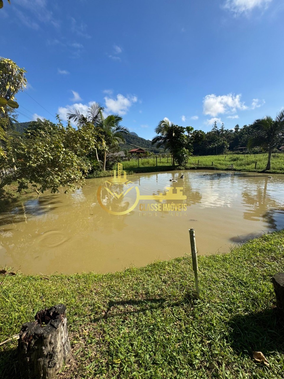 Sitio à venda em Ilhota-SC, bairro Bau: 3 quartos, 1 sala, 1 banheiro, 7.300,00 m² de área.