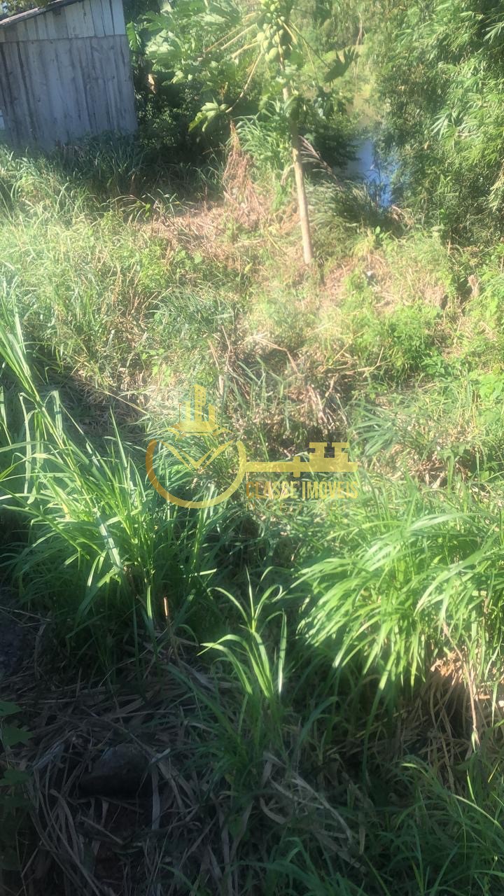 Imperdível oportunidade: casa à venda em luiz alves-sc, bair