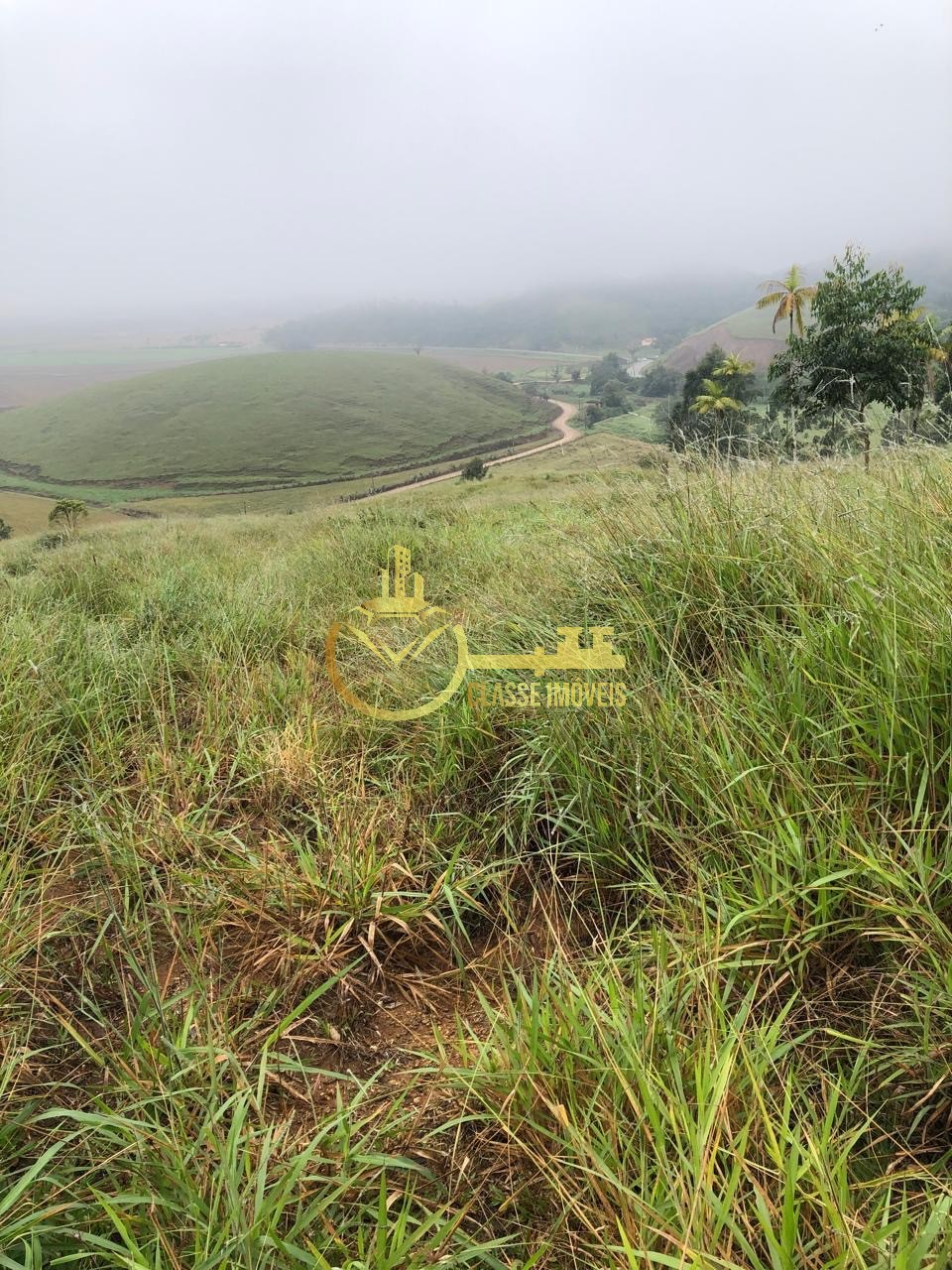 Fazenda à venda em Ilhota-SC, Bairro Baú, com 2 quartos, 2 salas, 1 banheiro e 180.000m² de área. Venha conferir!