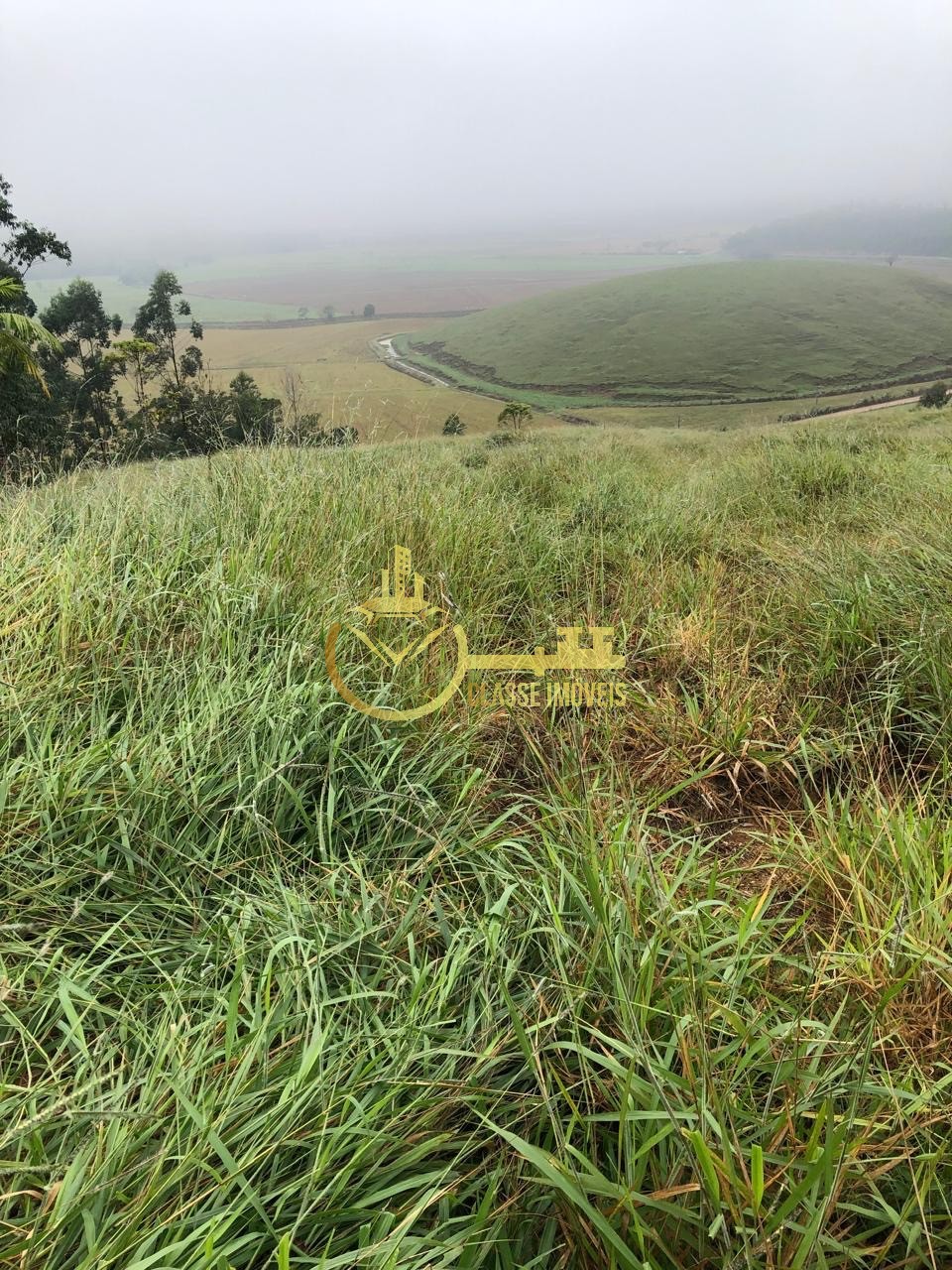 Fazenda à venda em Ilhota-SC, Bairro Baú, com 2 quartos, 2 salas, 1 banheiro e 180.000m² de área. Venha conferir!