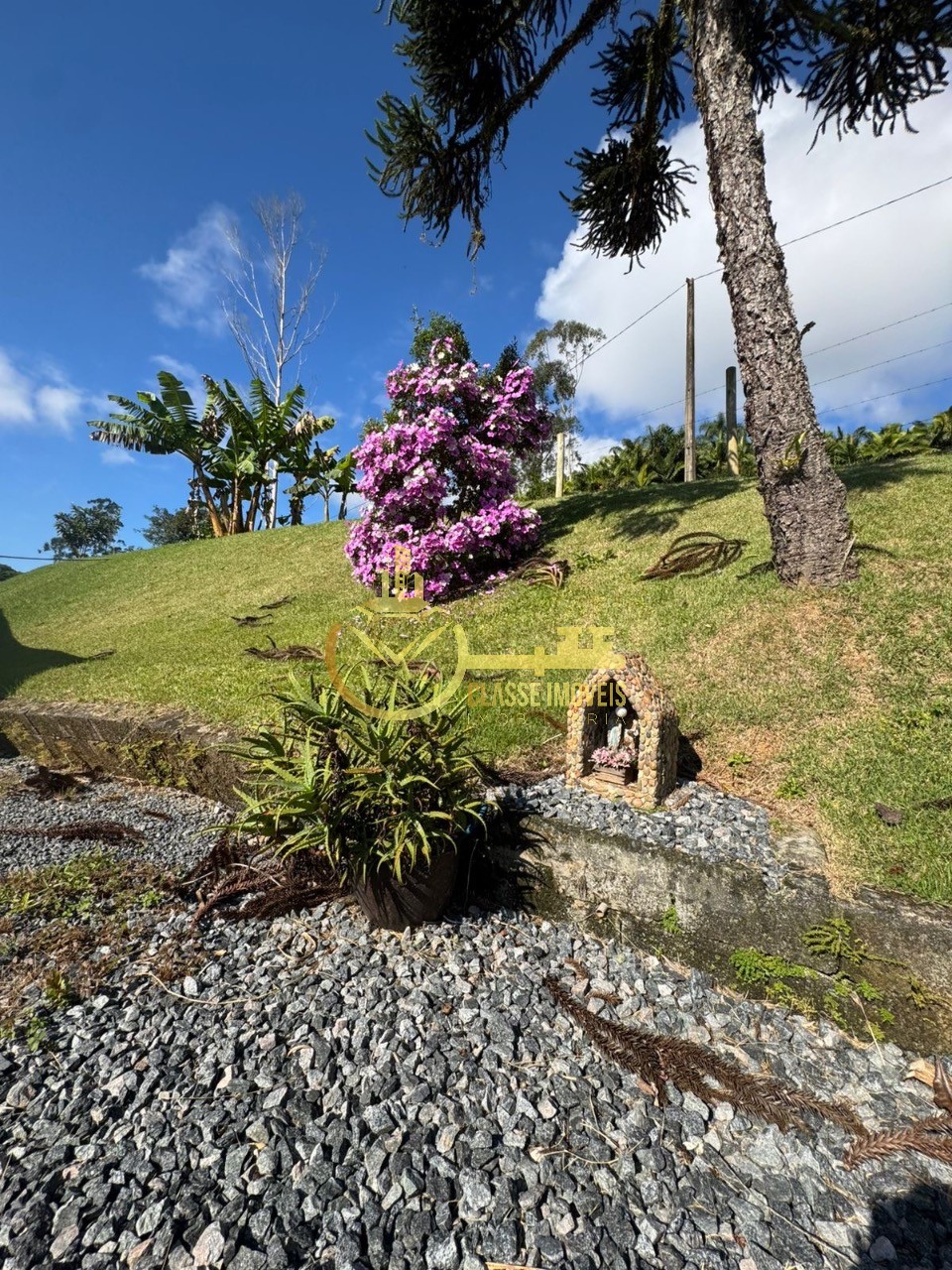 Sitio à venda em Ilhota-SC, bairro Bau: 3 quartos, 1 sala, 1 banheiro, 7.300,00 m² de área.