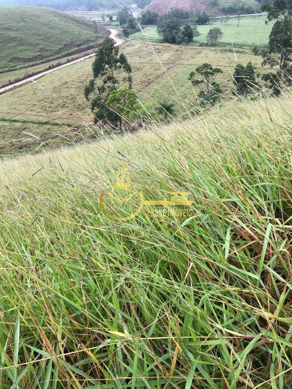 Fazenda à venda em Ilhota-SC, Bairro Baú, com 2 quartos, 2 salas, 1 banheiro e 180.000m² de área. Venha conferir!