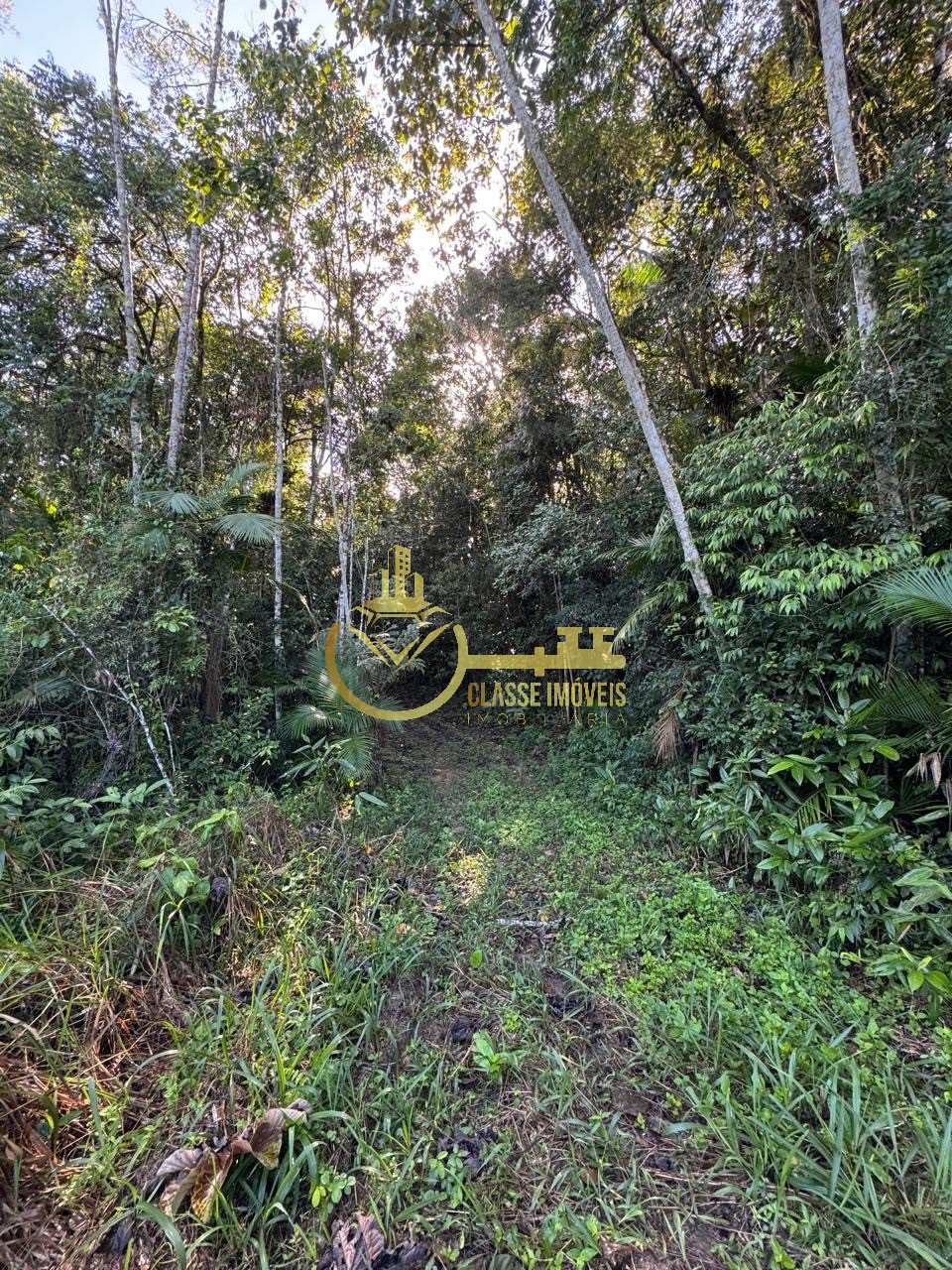 Terreno à venda em balneário piçarras-sc, bairro são brás, c - foto 1