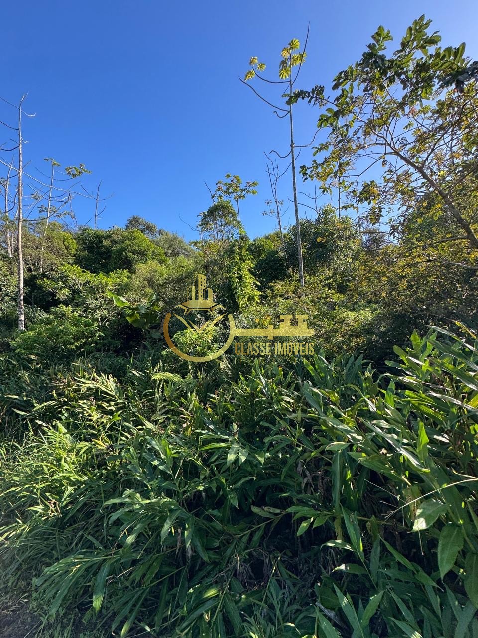 Terreno à venda em balneário piçarras-sc, bairro são brás, c - foto 6