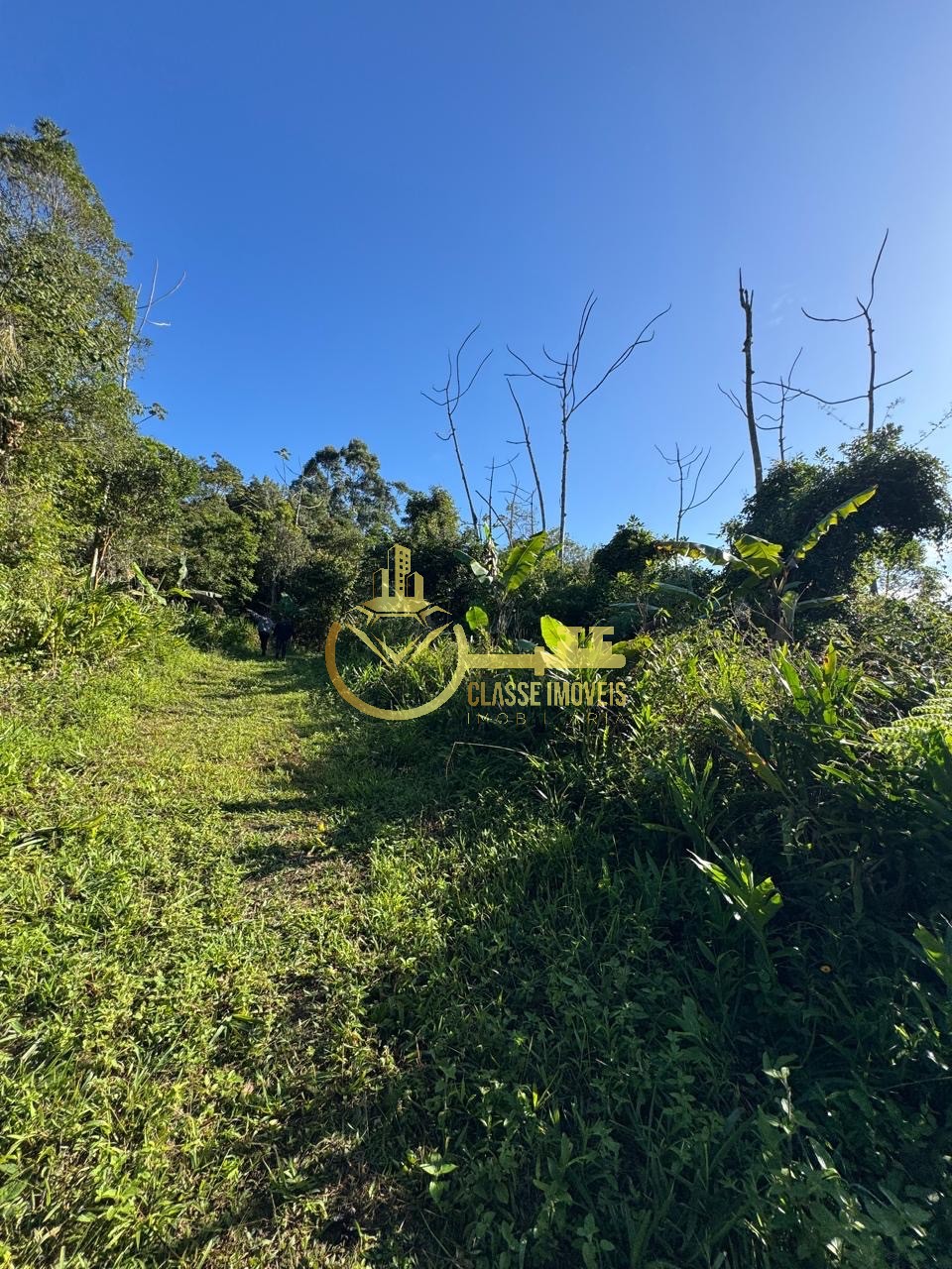 Terreno à venda em balneário piçarras-sc, bairro são brás, c - foto 4